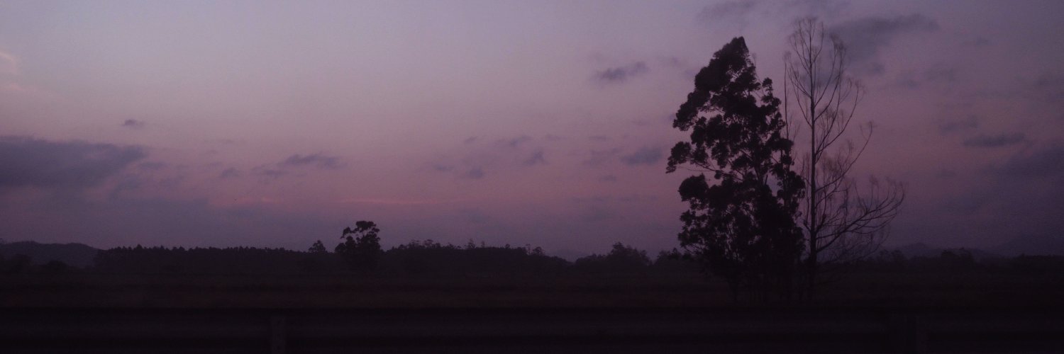 Ian Maldonado banner