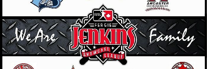 FJSL Baseball League banner