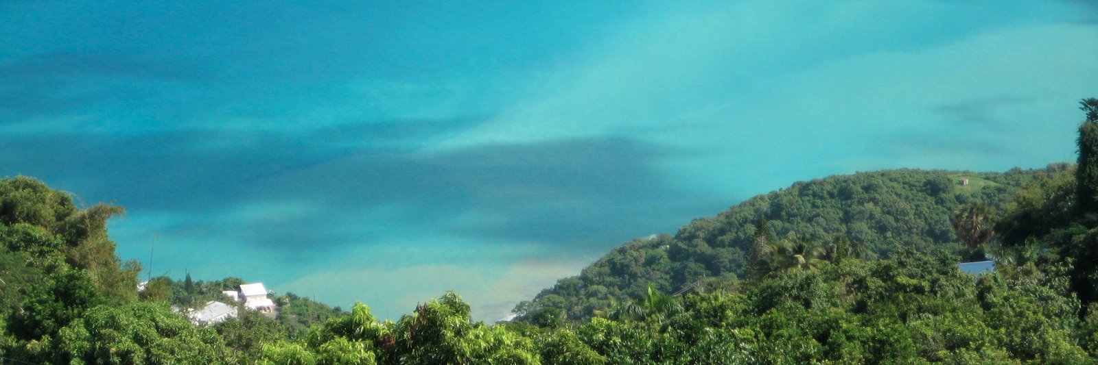 Levoff Tostig banner