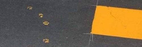 popo1184's profile banner image