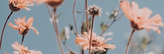 FloorOliveto's profile banner image