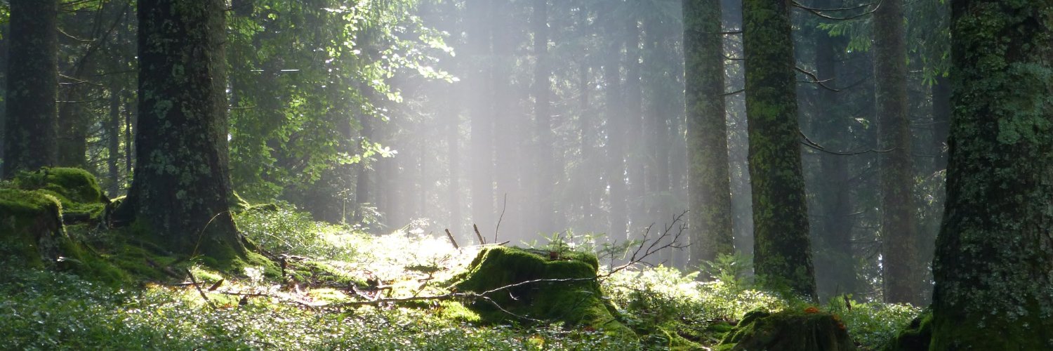 Hotzenwalder ⓥ Ⓦ banner