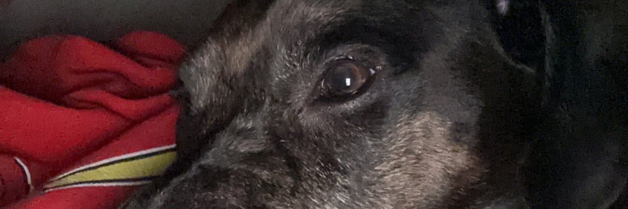 Abbyw64's profile banner image