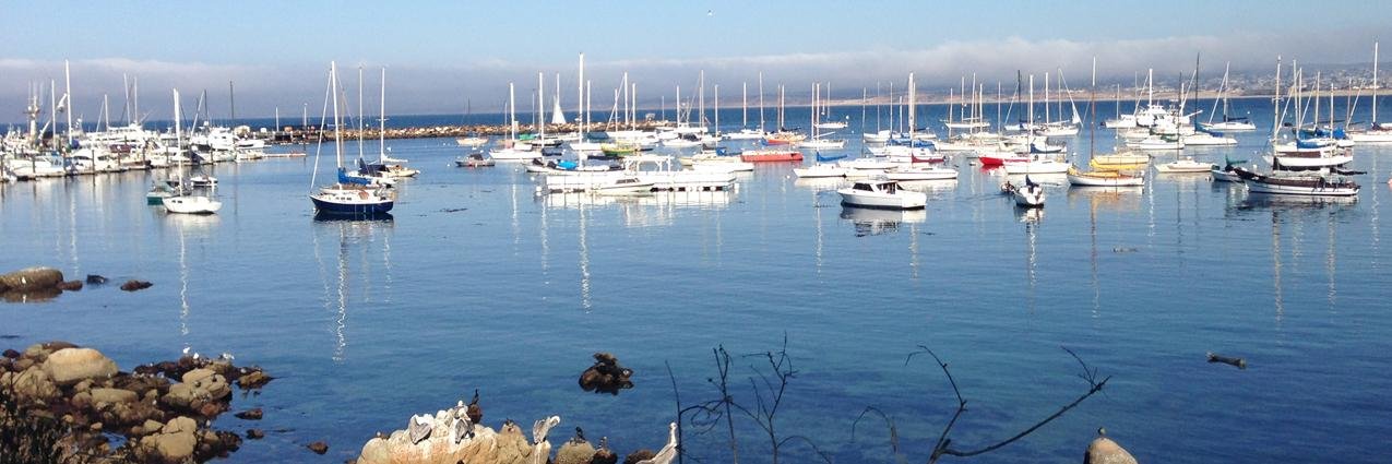 Lyena Solomon banner