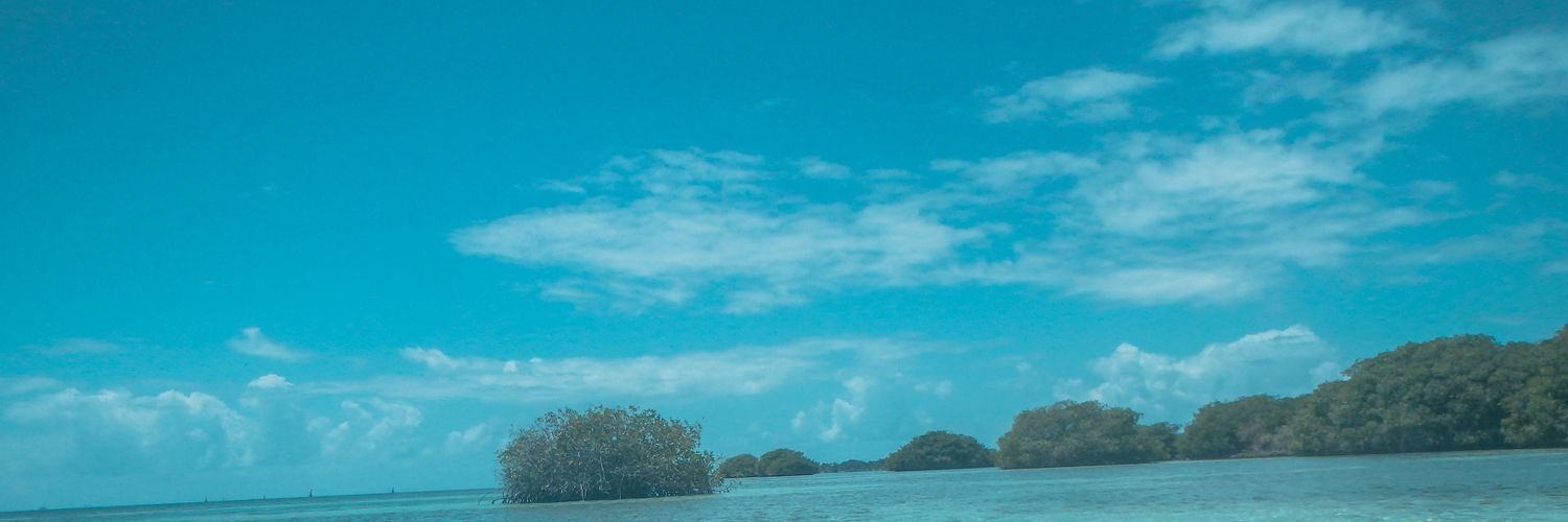 NehuCuencaJK's profile banner image