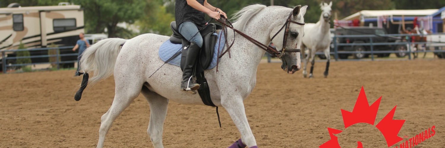 BrookeFGem's profile banner image