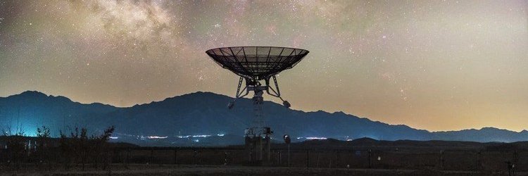 Dani(saurus). banner