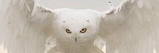 tabirempel's profile banner image