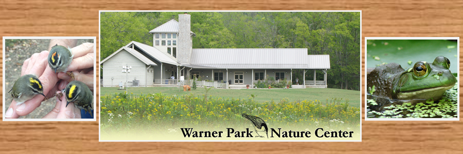 WPNC1's profile banner image