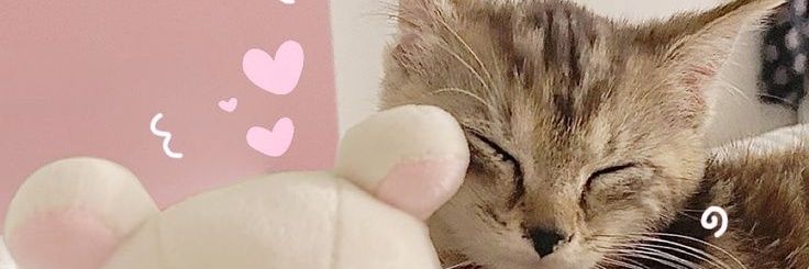 koostoile's profile banner image