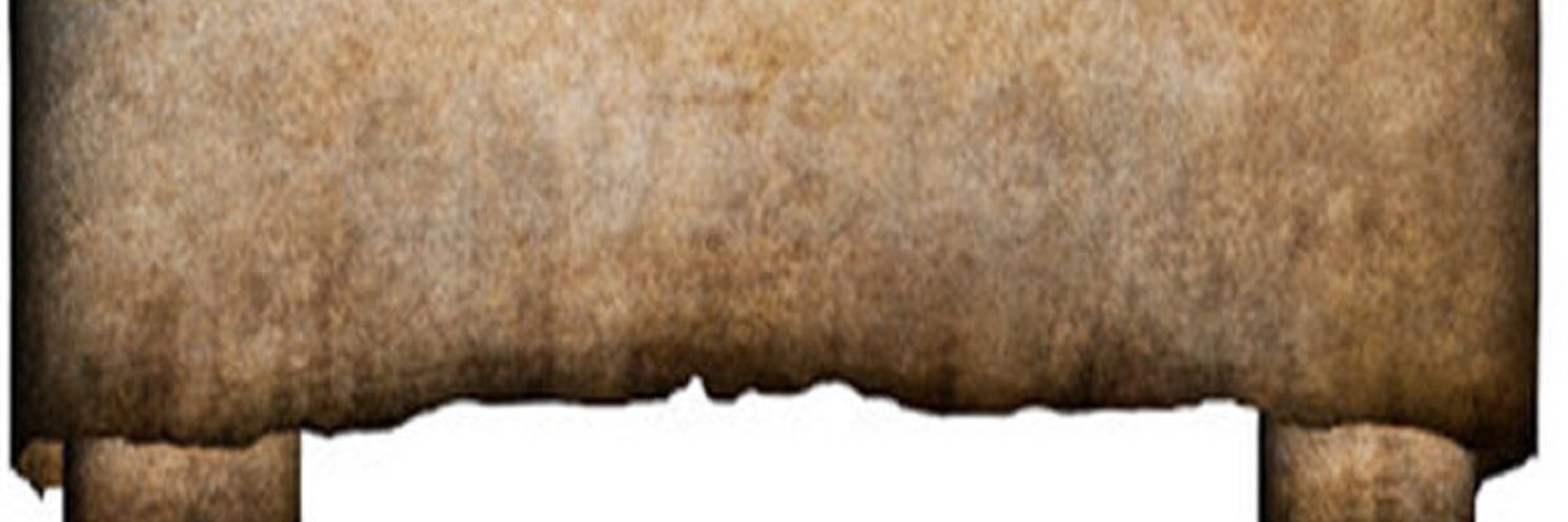 AlMayflower's profile banner image