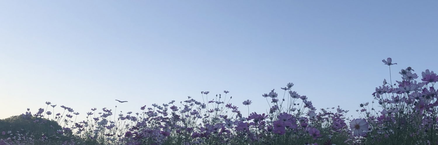 suama_kk's profile banner image