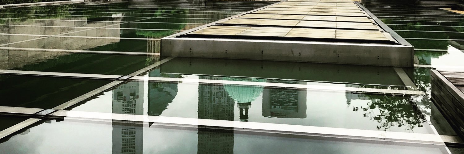 Kristiane Davidson banner