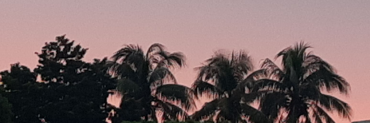vanekiki_'s profile banner image