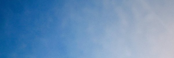 daisy_audio Profile Banner