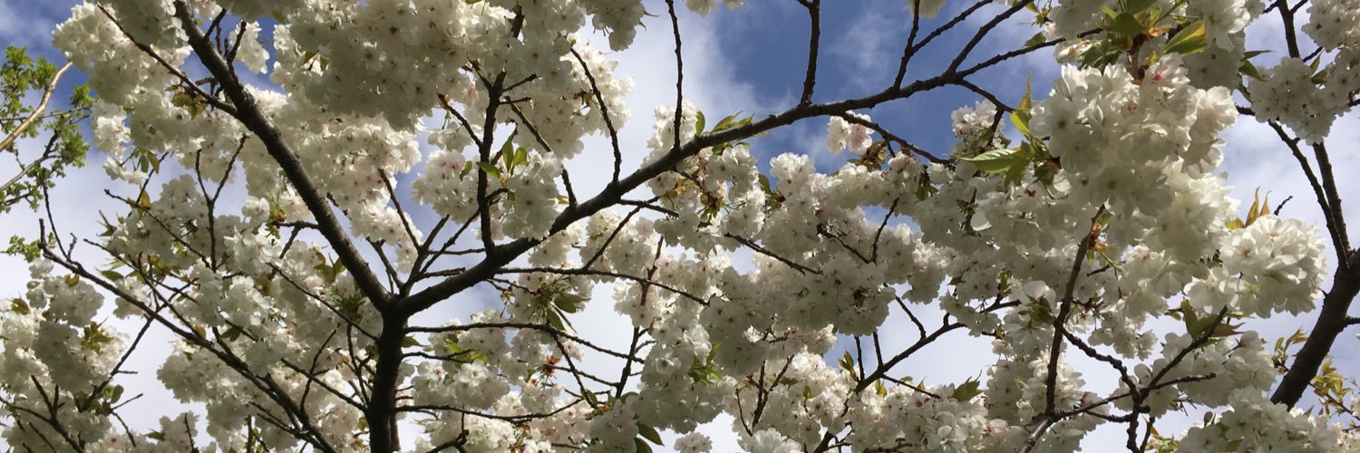 Esther Lodder banner