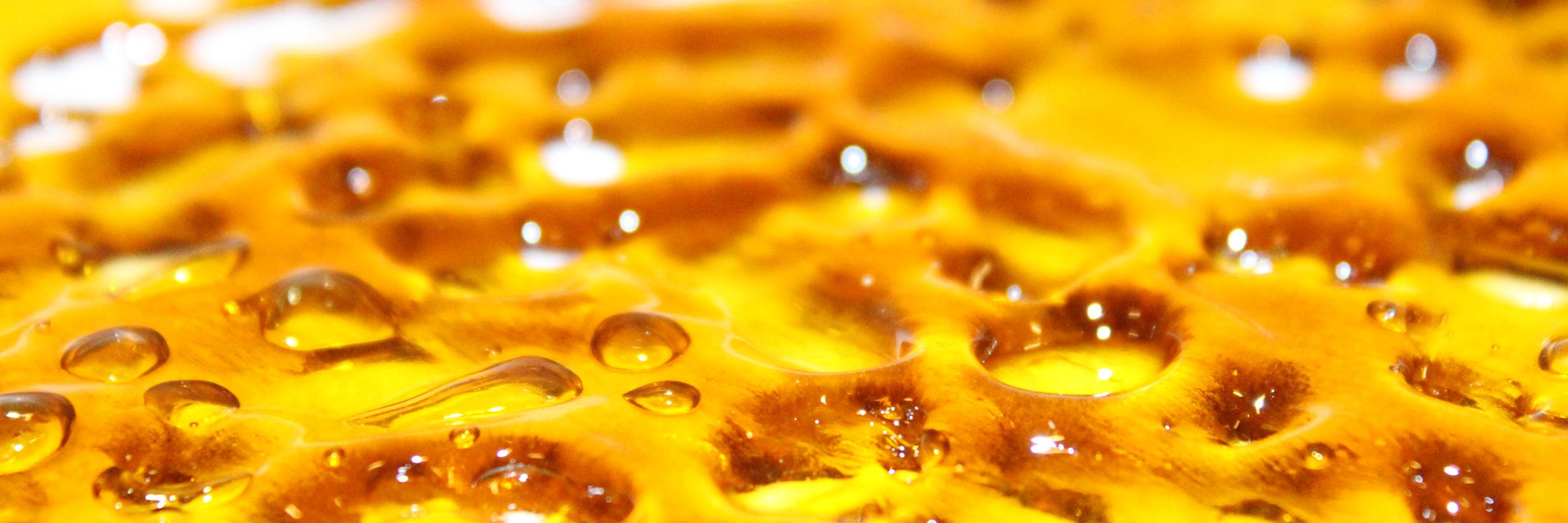 Lab_710's profile banner image