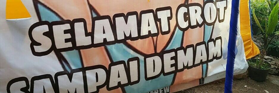 pecandusenja_h's profile banner image