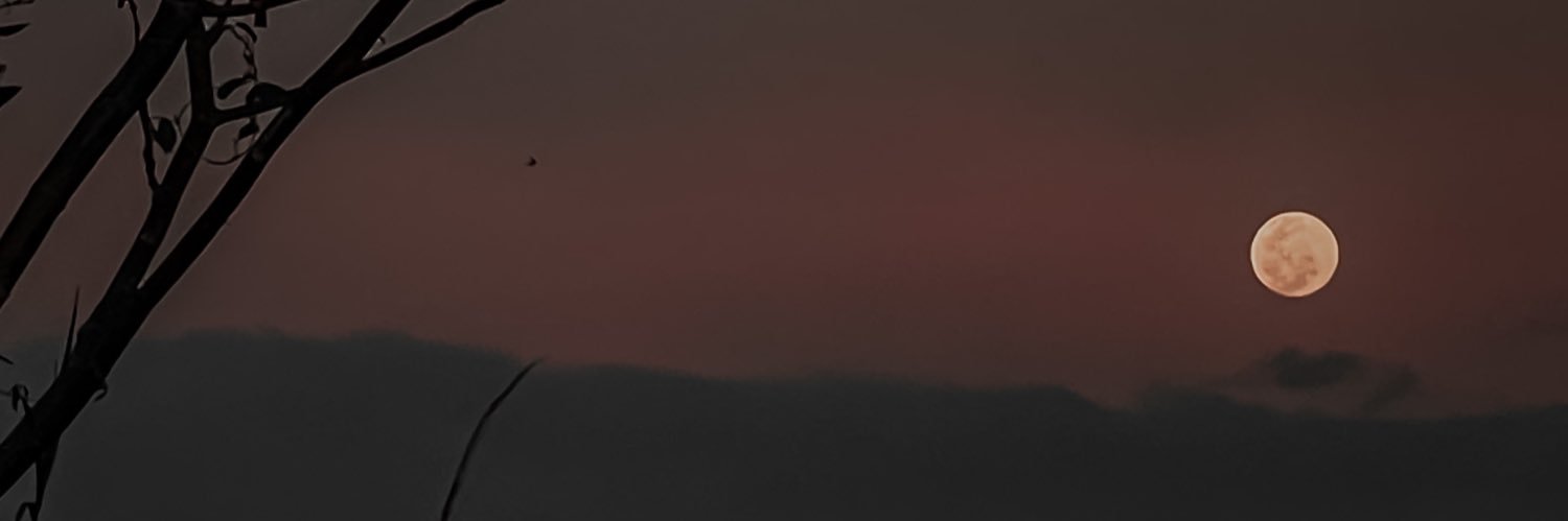 iashleysprouse's profile banner image