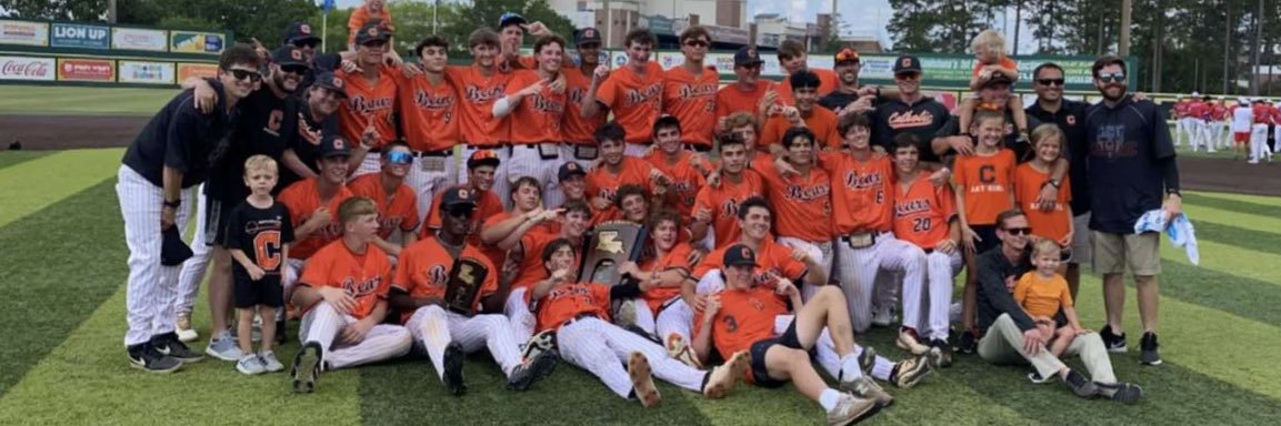 Cur Dog Baseball banner