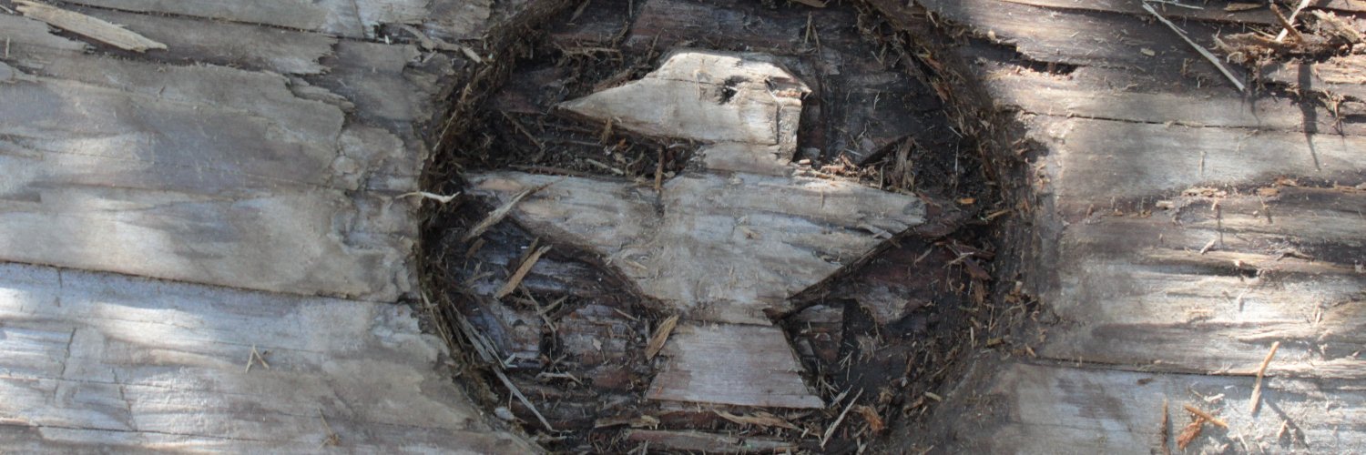 Isaac banner