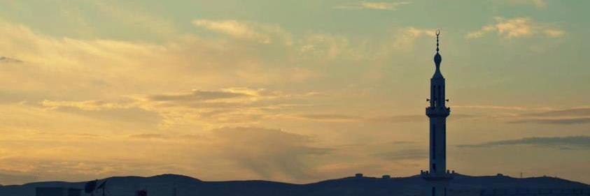 Wisdom_Moon's profile banner image