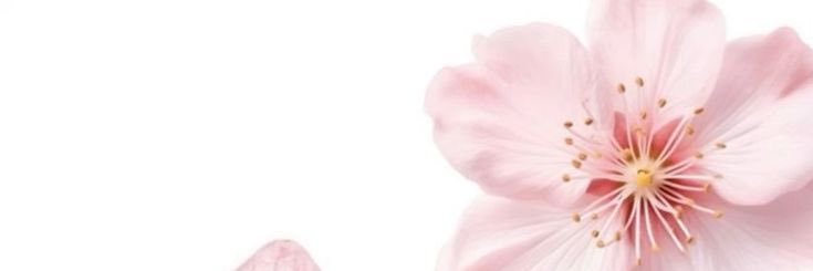 karinamira's profile banner image