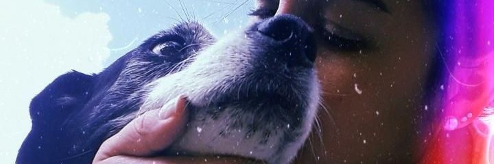 Florscalp's profile banner image