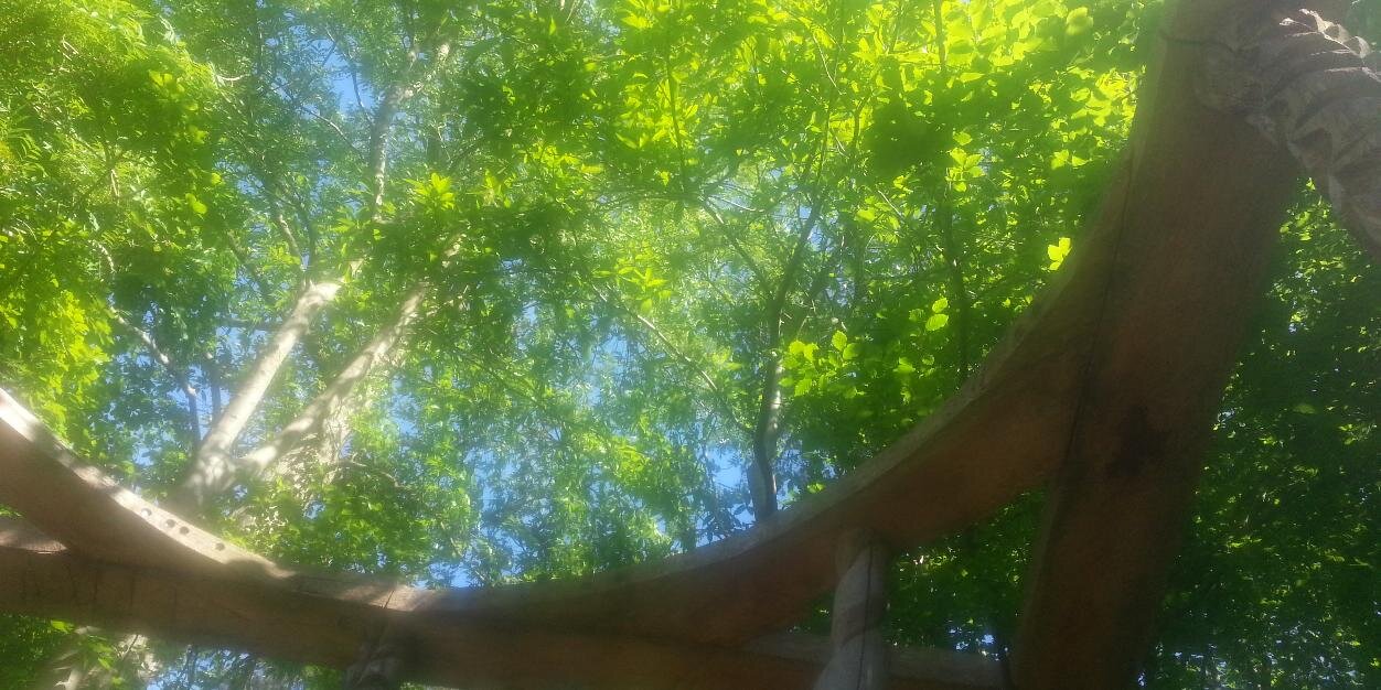 anujitkaur's profile banner image