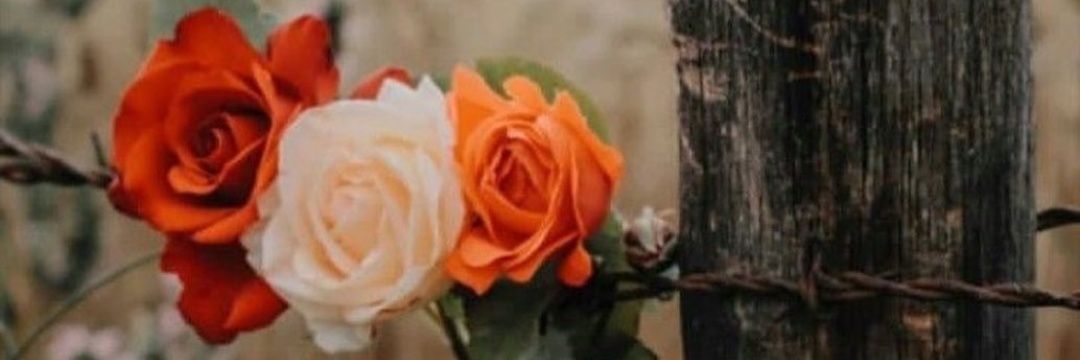 stephcastillot's profile banner image