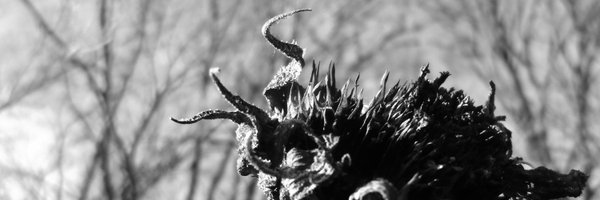 ARTDbyBarbara Profile Banner