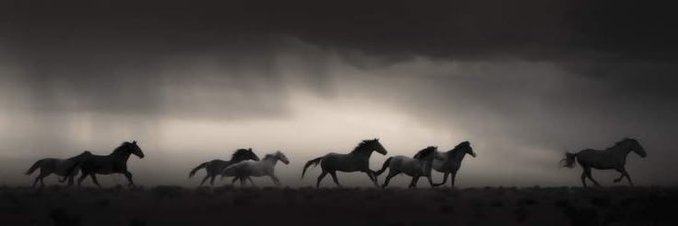 monelge's profile banner image