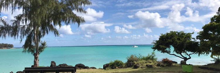 عابرة سبيل banner