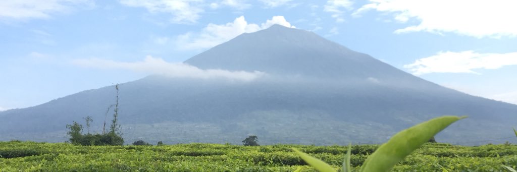 eikhwanRafael's profile banner image
