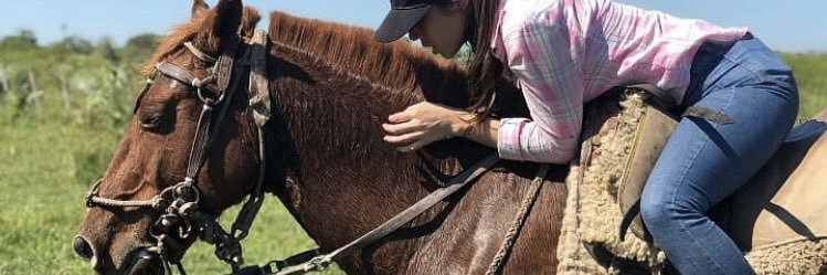 Ellen sin hache banner