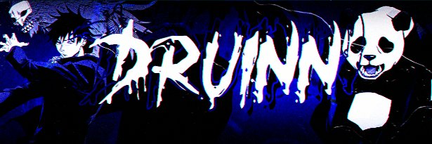 DruinnPanda's profile banner image