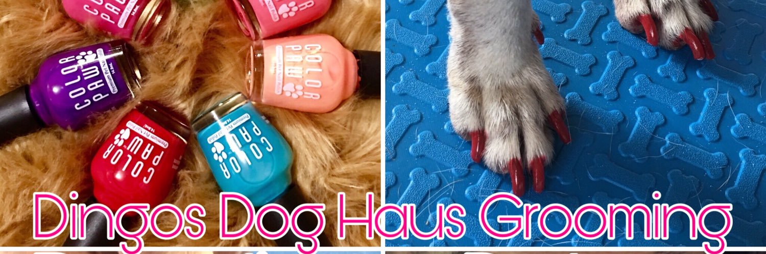 DingosDogHaus's profile banner image