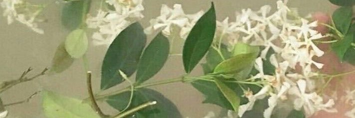 _uzumki's profile banner image