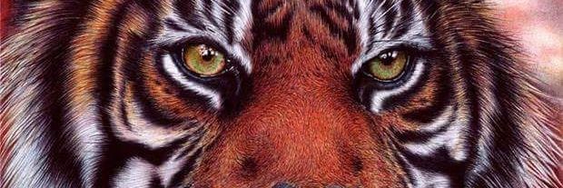 Obandov's profile banner image