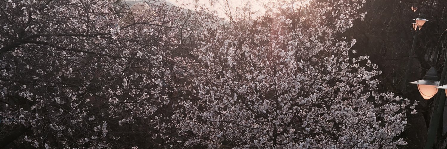 Jia_eeee's profile banner image
