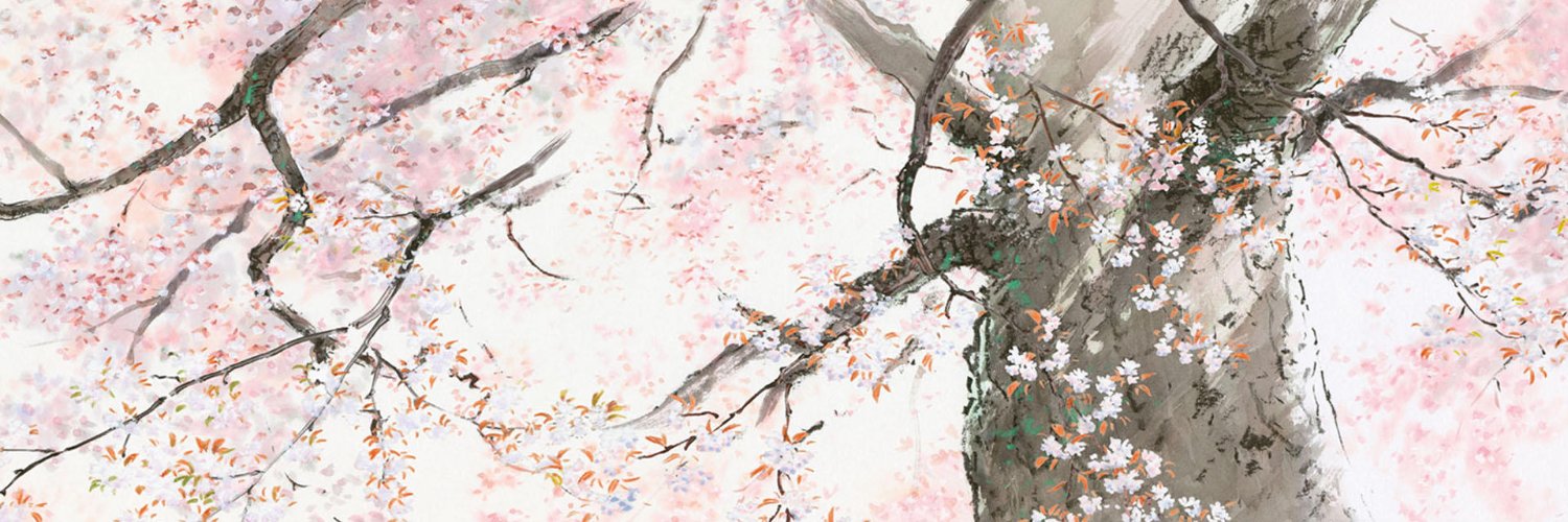 Ewok_13's profile banner image
