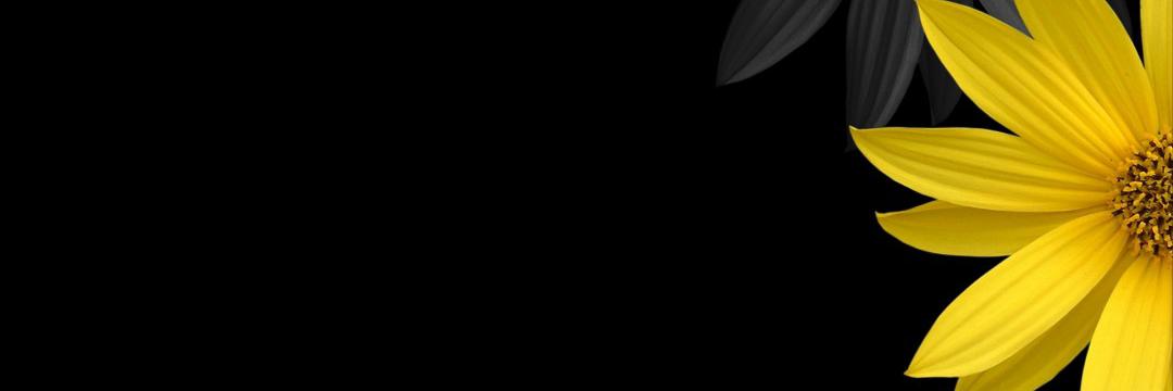 NottyEland's profile banner image