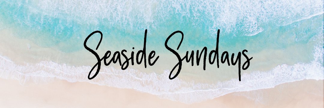 seasidesuns's profile banner image