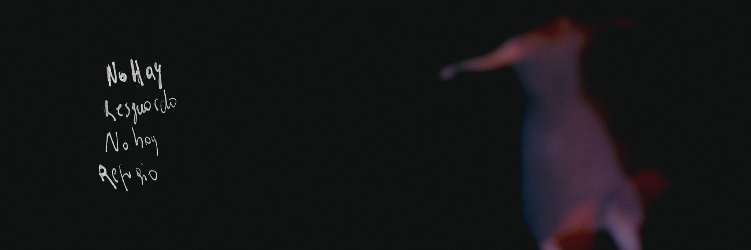 stina banner