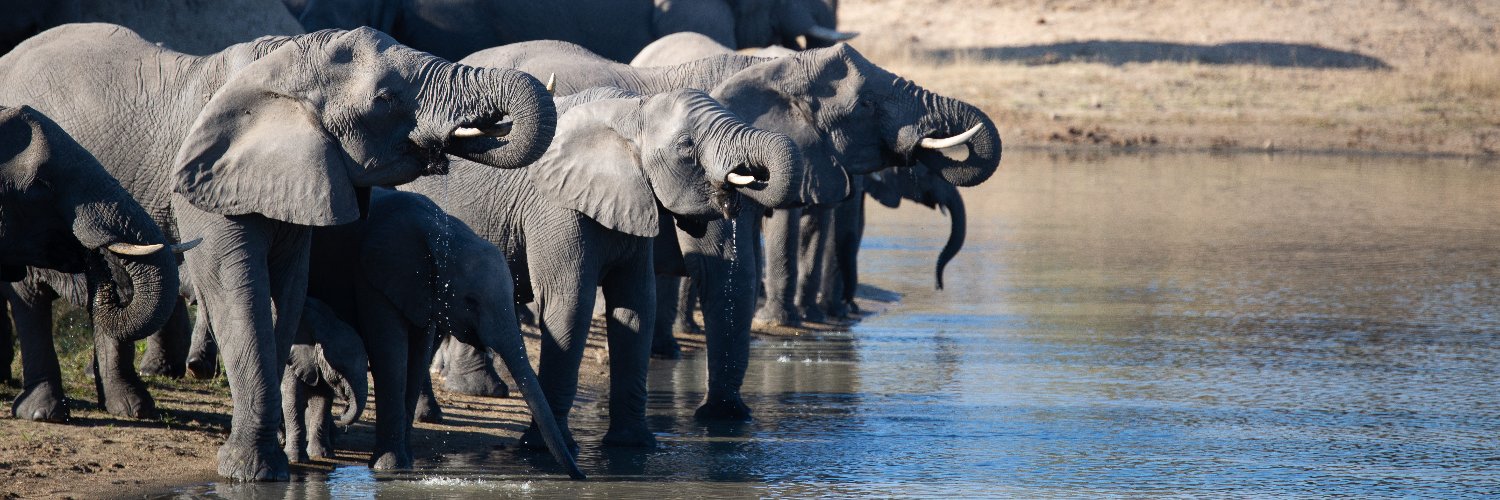 ConservationACE's profile banner image