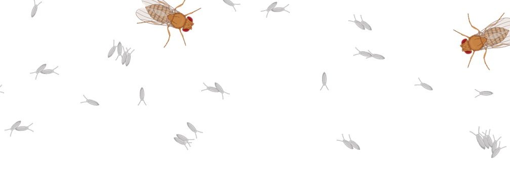 emilyrosech's profile banner image