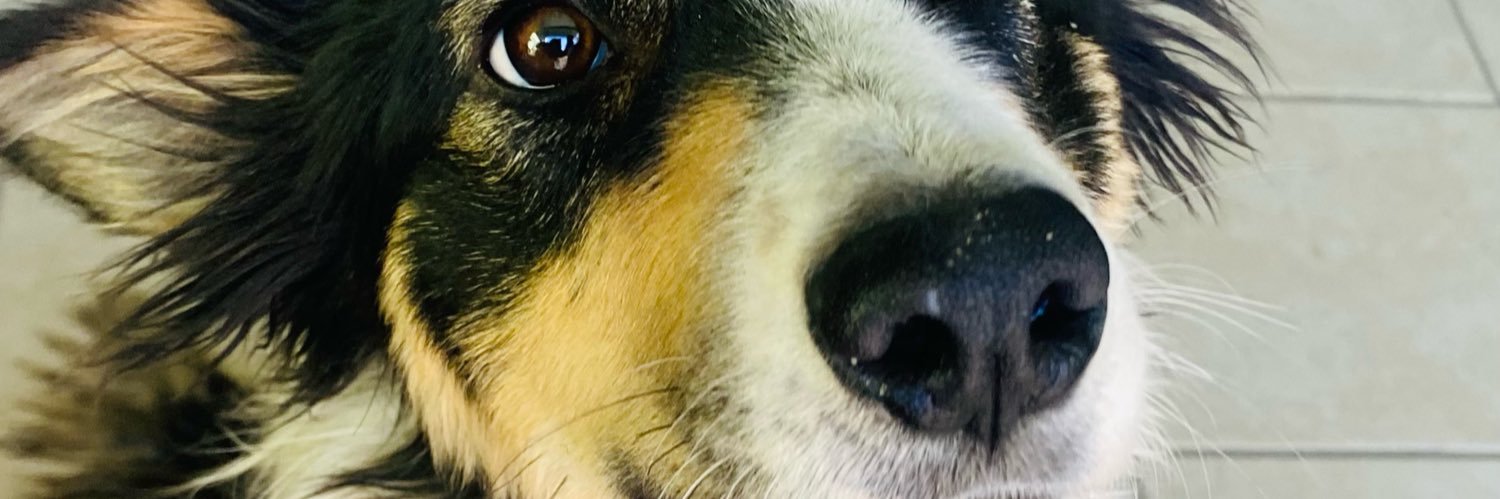 happyprisg's profile banner image