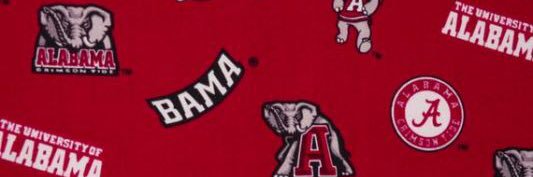 OmaResists! 🌊 🌊🇺🇸 banner