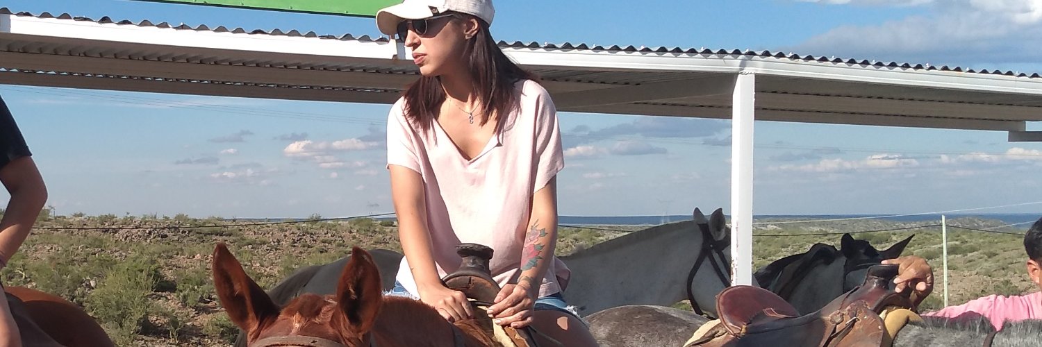 Noe Camargo banner
