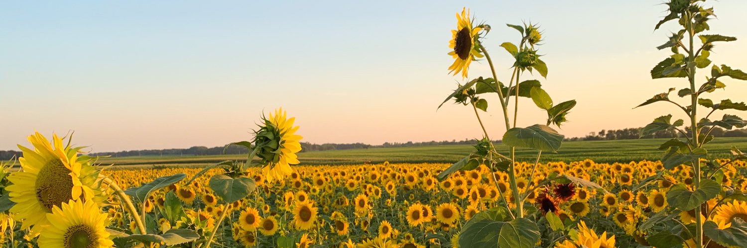 MikaylaHolway's profile banner image